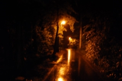 seefest_2009_045