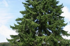 Zeltlager_2009_Bernau_068