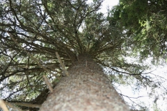 Zeltlager_2009_Bernau_082