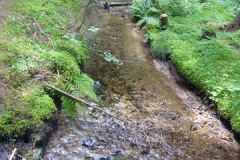 Zeltlager_2009_Bernau_084