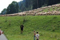 0954-Zeltlager_2013_Rottweil_1879-001