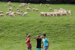 0955-Zeltlager_2013_Rottweil_1880-001