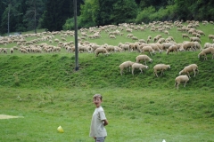 0979-Zeltlager_2013_Rottweil_1930-001