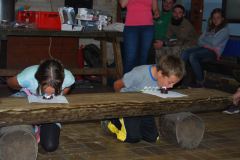 KJG-2015-0046
