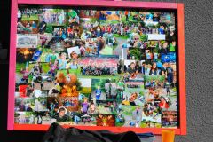KJG-2017-0022